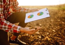 life cycle assessment